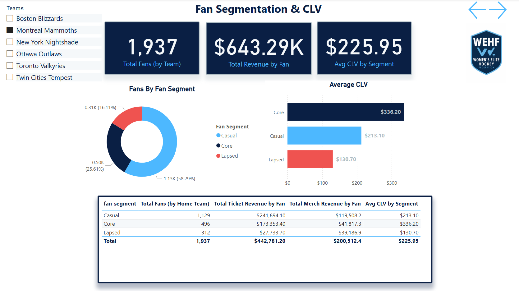 Fan Segmentation Dashboard