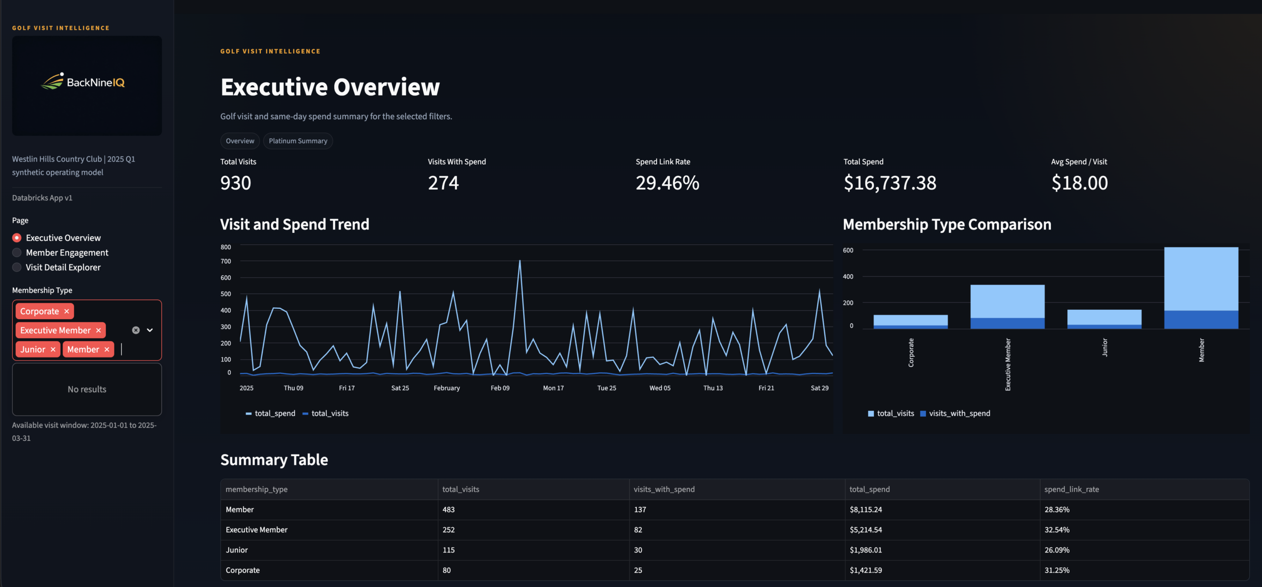 BackNineIQ Executive Overview — Page 1